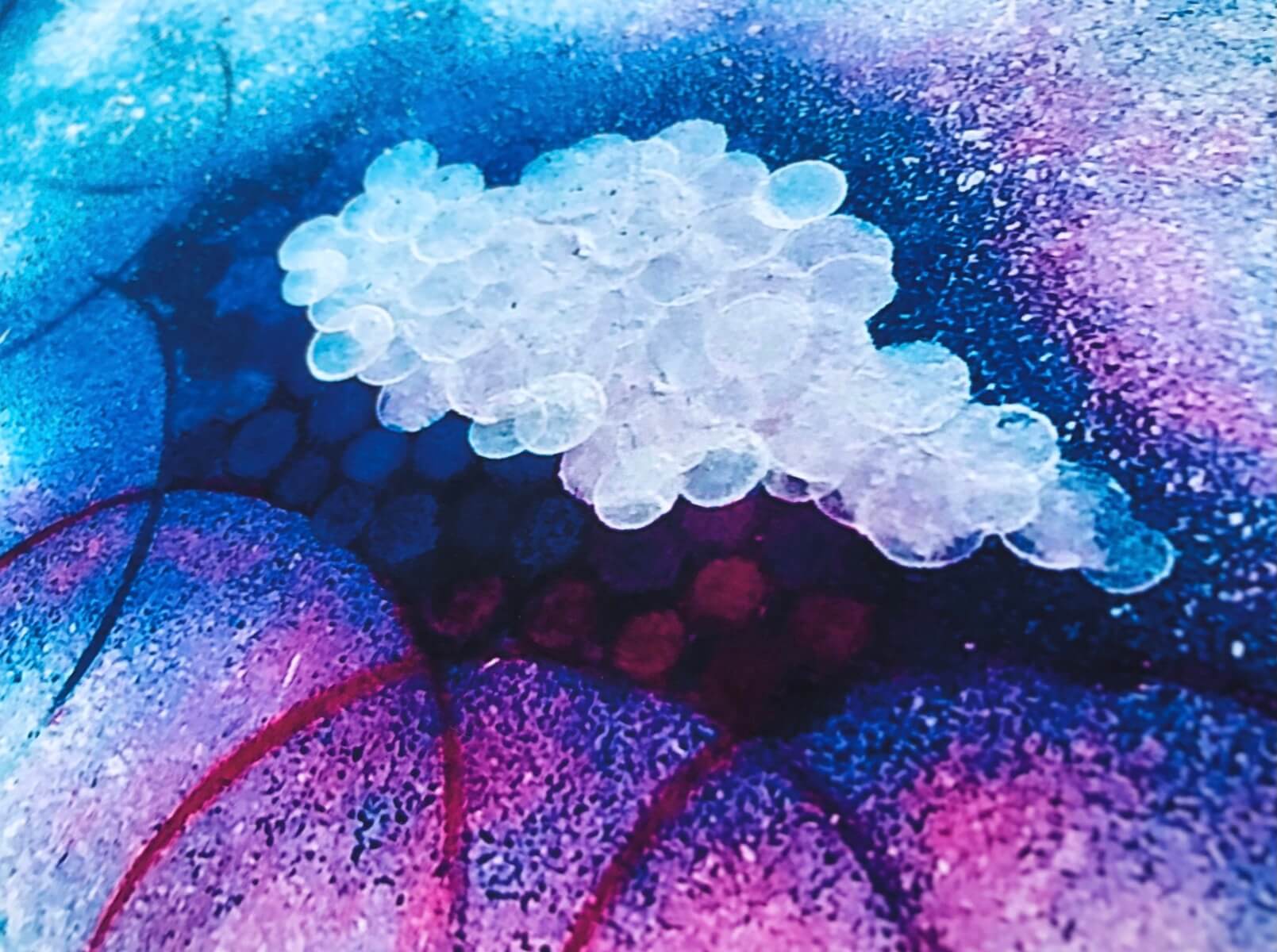 Trendy pink and blue abstract cloud wall art.