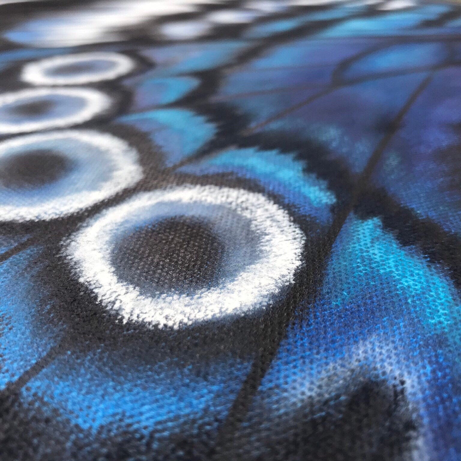 Canvas butterfly wall art decor 