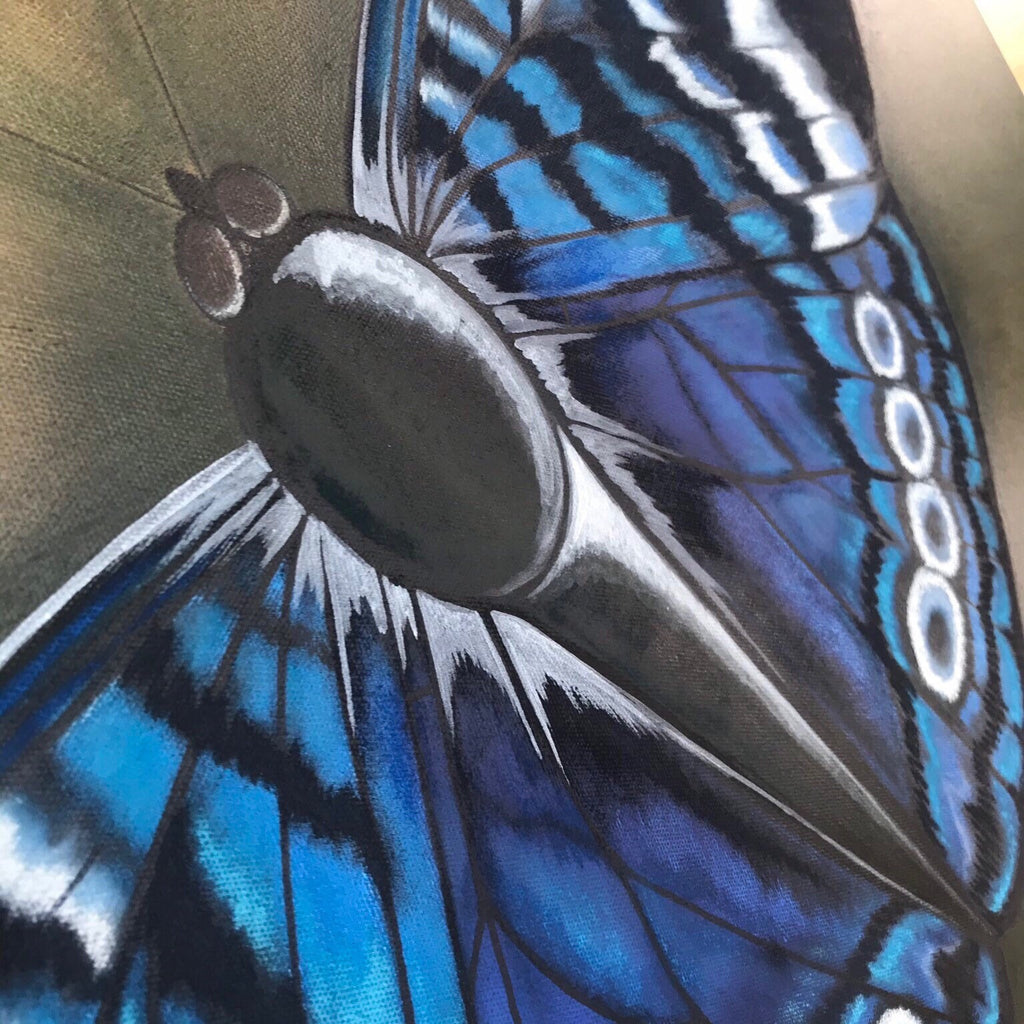 Modern butterfly wall art decor on canvas.