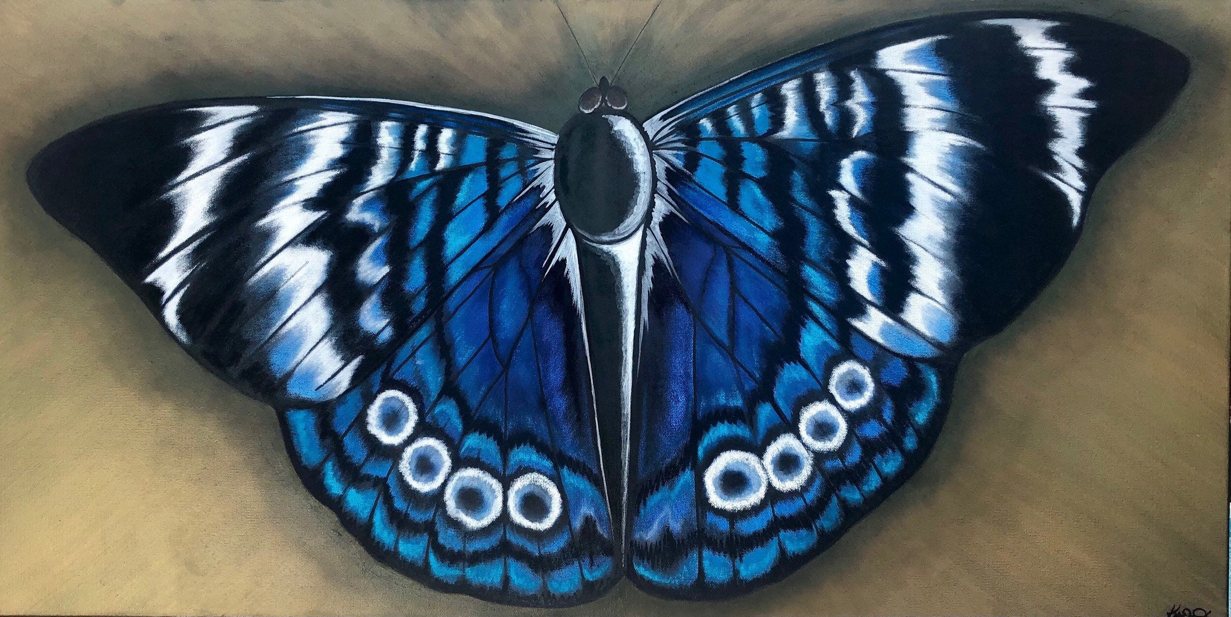 Hand painted large butterfly wall art decor