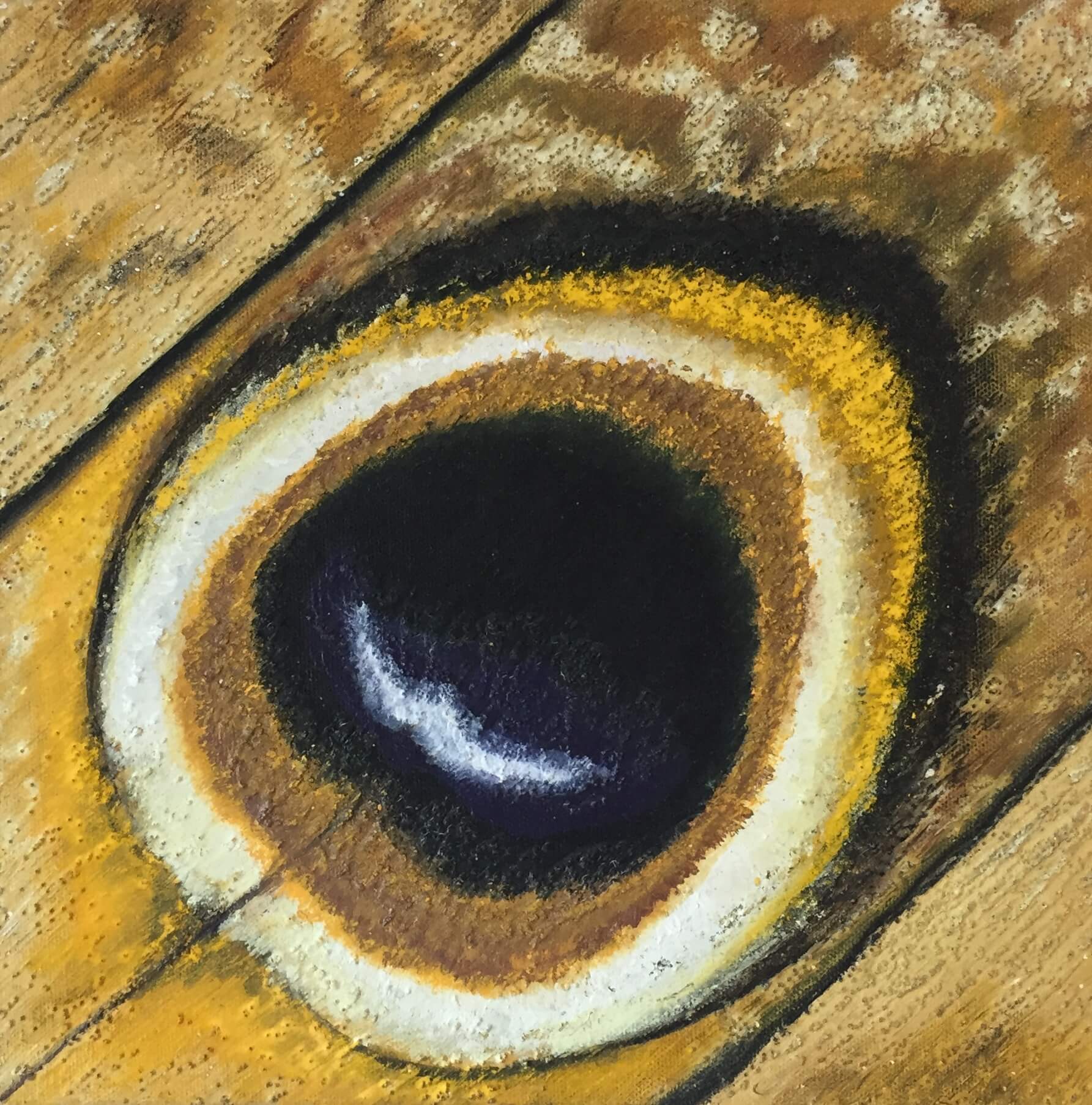 Textured butterfly artwork.