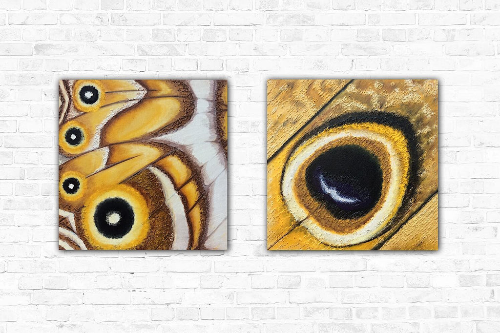 Butterfly artwork
