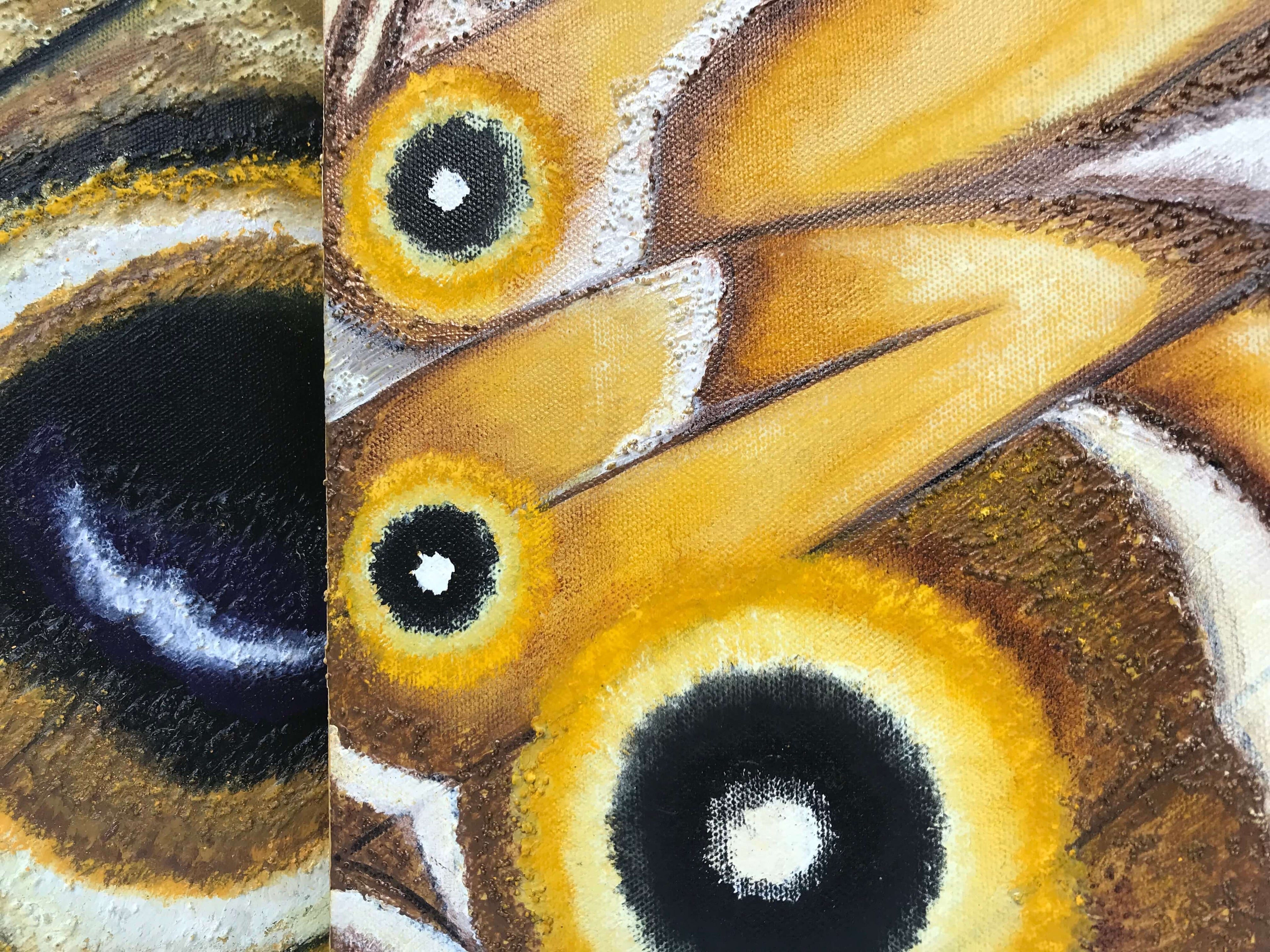 Colourful diptych butterfly artwork.