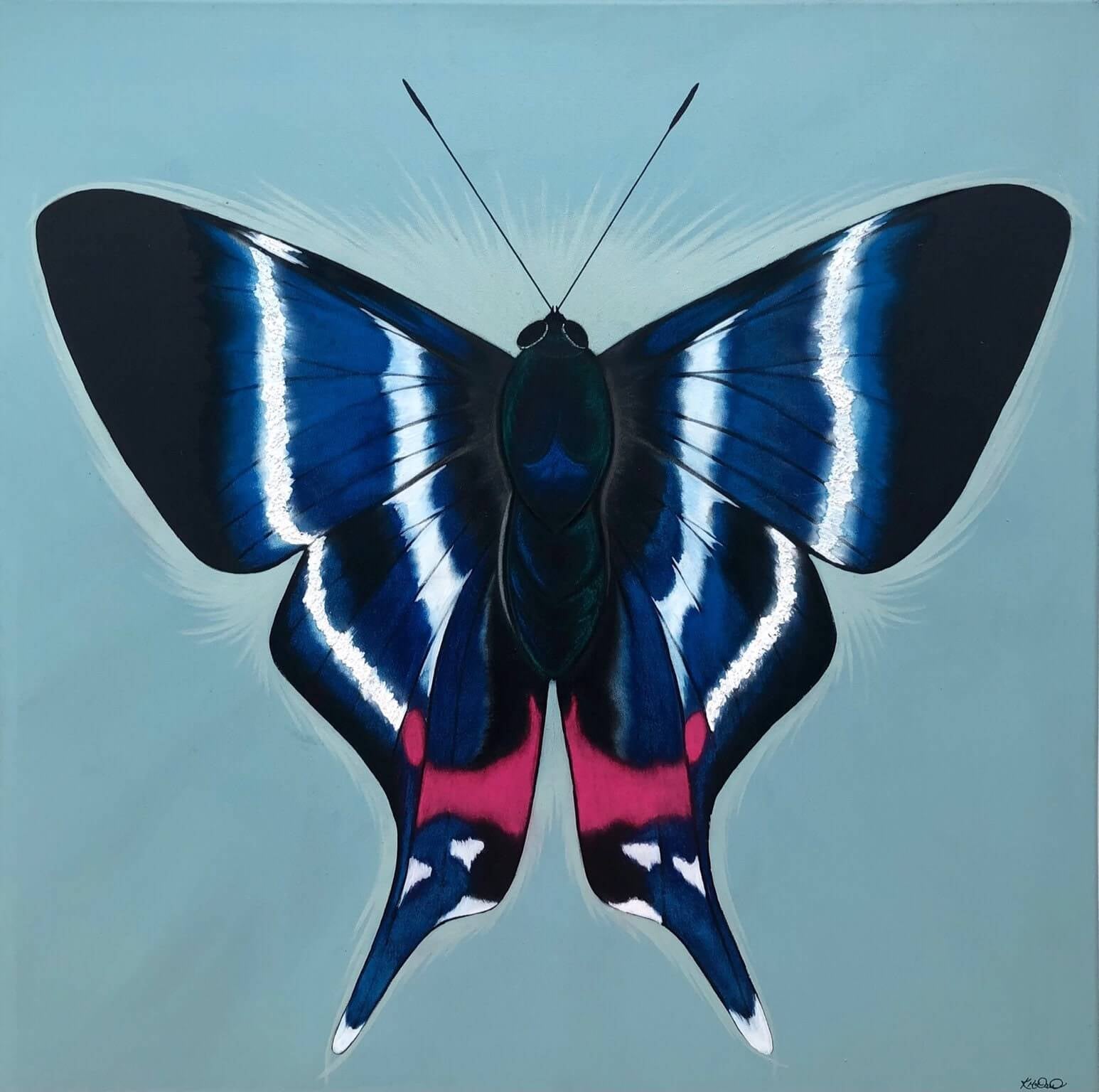 Original artwork. Large butterfly wall art decor.
