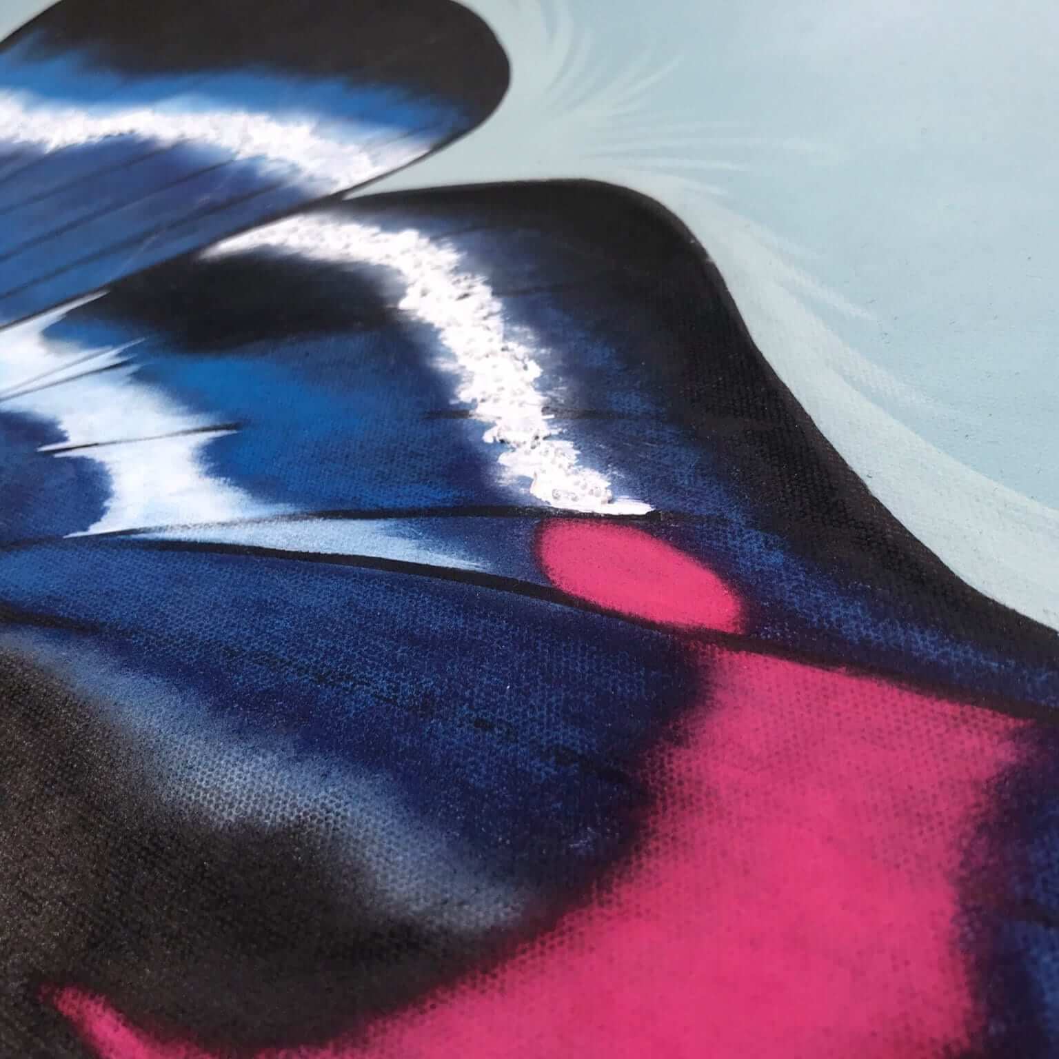 blue, pink and black butterfly wall art decor.
