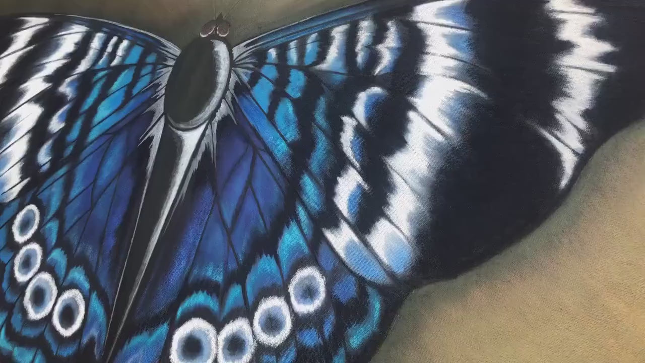 Butterfly artwork. Artwork online.
